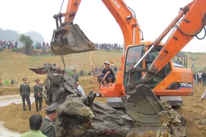 Vụ trục vớt gỗ sưa: Gỗ sưa tiền tỉ đã được đưa lên bờ